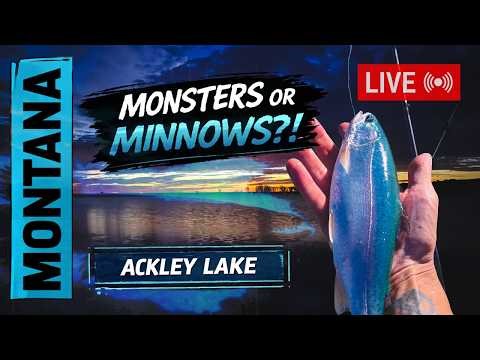 Dawn to Dusk Trout and Tiger Muskie Marathon on Ackley Lake #LIVE #FISHING