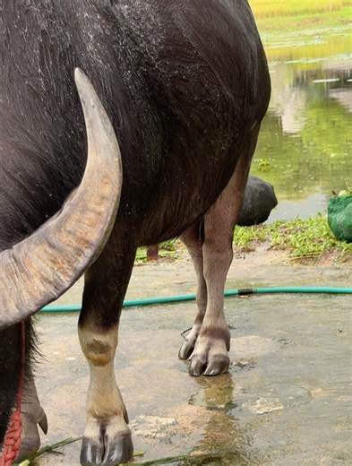 Win Metawin O. on Instagram: "A day spent in Chiangmai"