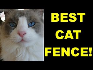 BEST Cute CAT Kitten FENCE Containment System Keep Cats in YARD