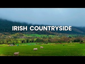 24 Hrs in Irish Countryside: Peace, Nature and Serenity