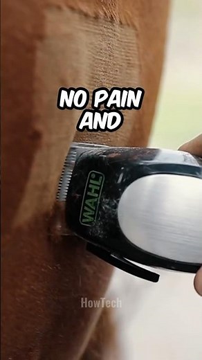 Animal branding🐄 #animals