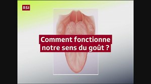 Comment fonctionne notre sens du goût? - Vidéos explicatives à télécharger - Play RTS