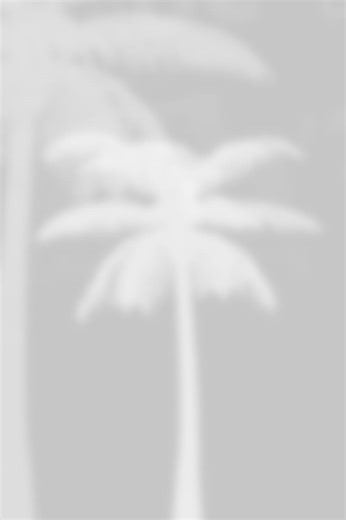 Dallas Cowboys | Official Site of the Dallas Cowboys