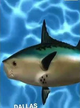 Spongebob Intro Dallas Mavericks English/Textless