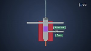 Video: Gas Chromatography: Sample Injection Systems
