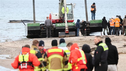 Wal-Drama im Liveticker: Heute soll Timmy mit Luftkissen gerettet werden