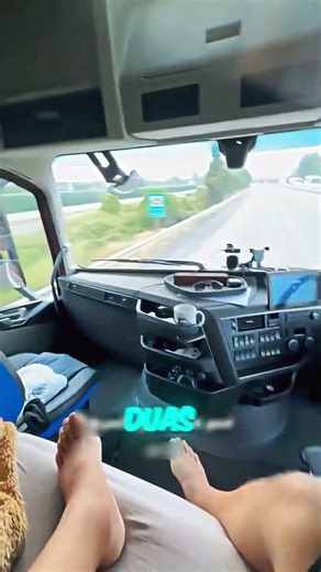 Ele dormiu no meio da estrada! 😬