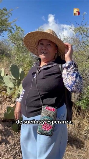 La política social se mantiene como el eje central de la administración actual.