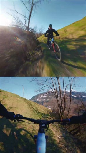 Reverse Chasing × Splitscreen POV