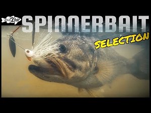 Choosing the Best Spinnerbait for the Situation
