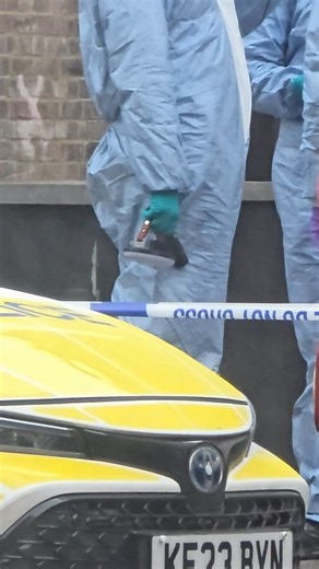 Harlesden | Police officers and forensics at the crime scene as investigation is ongoing One Local said the narrow passage alleyway at the corner of manor park road is a brothel 'sex house' used by many nationalities. Police and forensics still carying out investigation which could last the whole day and tomorrow. Harlesden is in north west london and very diverse it has somalis, ethiopians, eritrea, brazillians, eastern europe, asians and irish . The local described as the hop of multiculture o