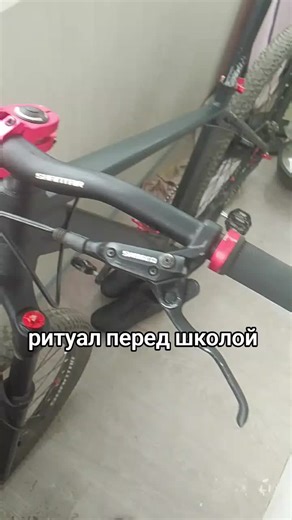 Велоспорт: Ритуалы и приключения на MTB