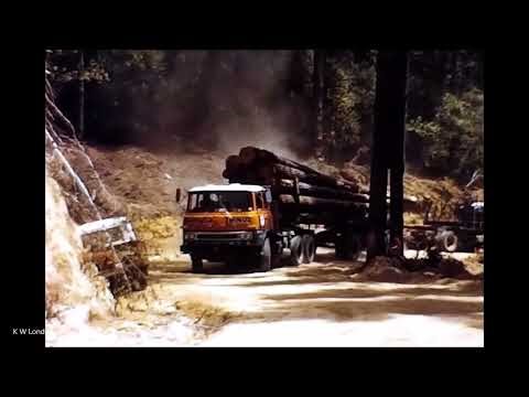 Classic New Zealand Trucking from the Hepworth collection