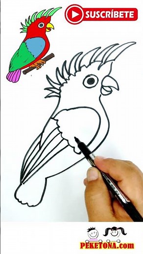 Cómo dibujar un papagayo fácil y colorido