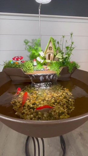 1.7K views · 33 reactions | A mini fairy garden in our AquaGarden Mini Pond Kit! 栗‍♀️#fairygarden #fairy #pond #mini #cute #fun #setup #howto Greg Wittstock the Pond Guy | Aquascape Pond Shop | Facebook