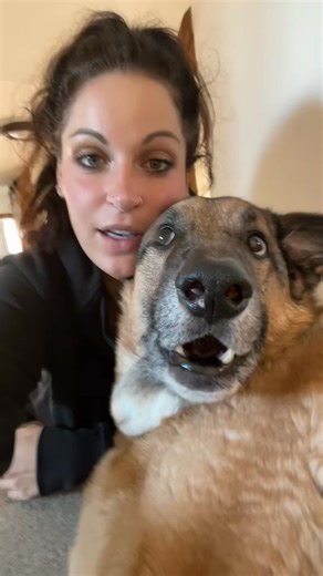 Picture Perfect! #dogsoftiktok #foryou #fyp #smile #djangosmiles | Django
