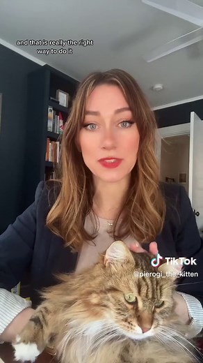 Hypoallergenic Siberian Cats: Managing Cat Allergies