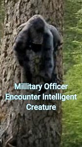 Military officer encounter mysterious intelligence creature | Bigfoot Evidence