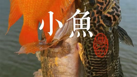 【-大娃洗马路用阿布-】视频加载中，速速查收惊喜！