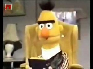 Bert en Ernie - KAKHOOFD!