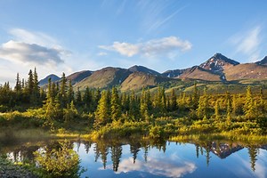 Locum Jobs in Alaska - Locum Jobs Online