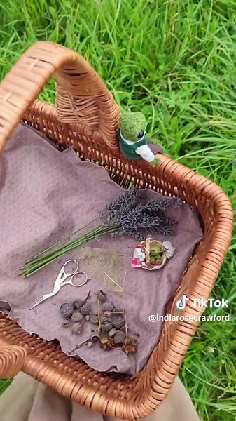 Exploring Nature with Frog: A Magical Walk with India Rose Crawford