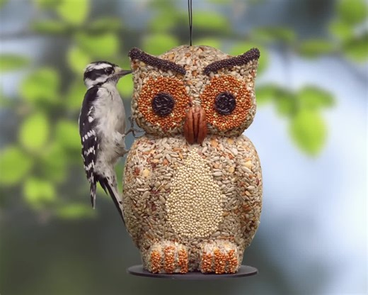 Handmade Owl Bird Seed Feeder: Edible Bird Lover Gift - Etsy