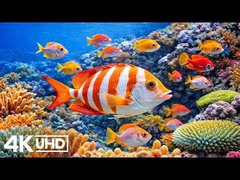 Mysterious Deep Sea Creatures in 4K HDR | Breathtaking Underwater World & Ocean Life