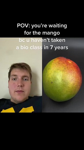 #duet with @boxlapse