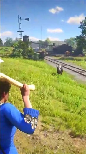 Nấu những món ăn rừng núi hoang dã p1860