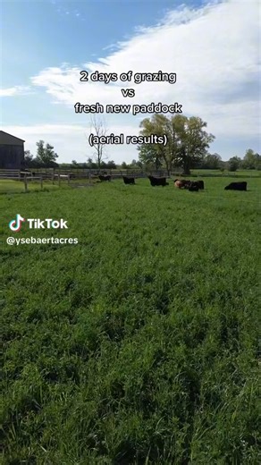 RT @CaryKelly11: The grass is truly greener on ranches where the livestock are moved every day or so.This is what @JoelSalatin refers to…