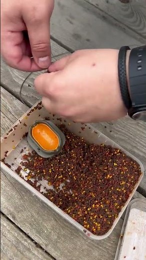 Simple Carp Bait Recipe That Really Works!