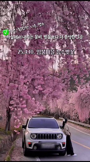 꽃구경! 대한민국 핫한 봄 여행지 3곳 소개