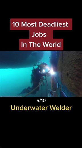 10 Most Deadliest Jobs In The World #deadliestjobs #almans_bee #people