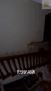 8.5M views · 277K reactions | MeMentos on Reels | Facebook