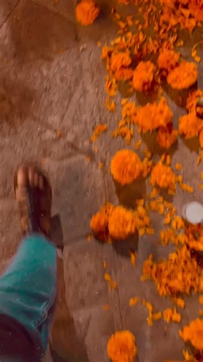 Following a path of cempasúchil. The Aztec marigold. A scent that brings our loved ones home. The candles are lit. Our ofrendas built. And this path laid for the spirits of our loved ones to journey and find their way back home. How special it is to enjoy the gifts of the Muertos season, when the threshold is open between the living and the dead. We are ready to welcome our honored guests with special foods, drink, and all the rituals and memories that connect us. 📣 TELL US: Who are you remembe