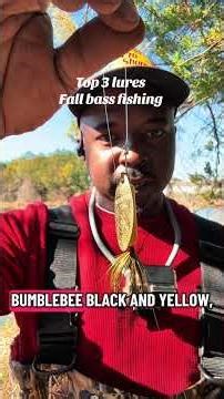 Fall bass lures #explore #bassfishing #fishing #viral #fyp