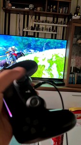 Controls completely glitched out and I cant get off the horse.