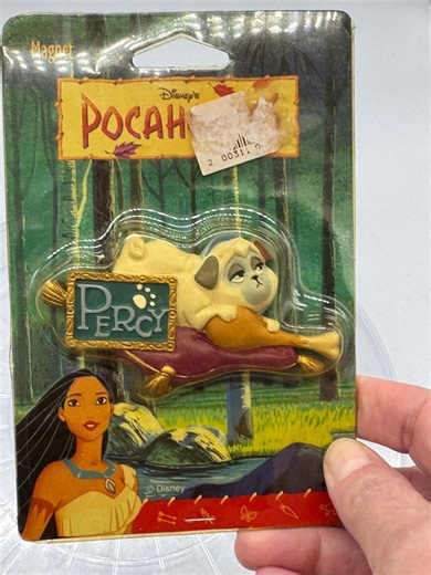 1990’s Disney’s Pocahontas Percy Refrigerator Magnet Mint in Pack! - Etsy