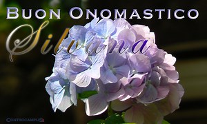Onomastico Silvana: frasi di auguri e significato del nome Silvana