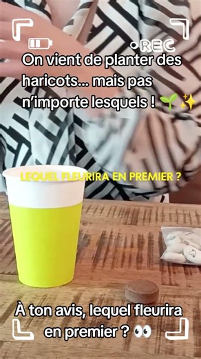 Ce haricot cache un secret… 🌿#HaricotMagique#JardinageMagique#PlanteQuiGrandit#MagicBean#viralkids