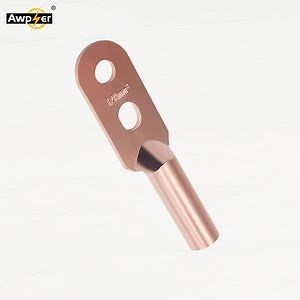 [Hot Item] 2 Hole Copper Cable Lugs Joint Crimp Ring Type