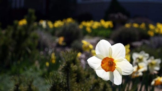 From chilly mornings to spring bloom: April's transition begins