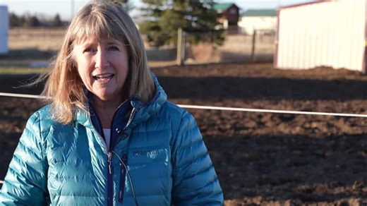 KSHB 41 Friday night forecast