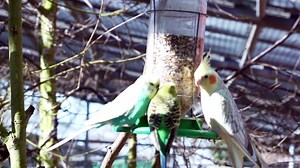 Samsung Galaxy S7 Edge Cinematic Video Test!