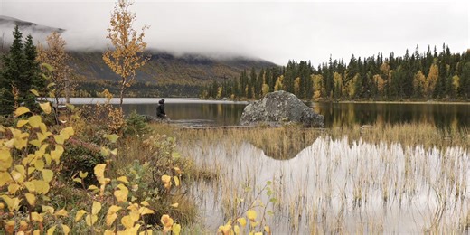A quiet walk through the beautiful Sarek National Park, in Swedish Lapland