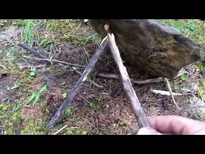 Easiest primitive trap deadfall system