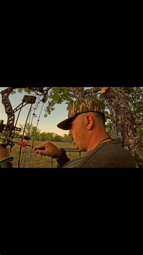Quick draw Mcgraw...Barely had time to look through his peep sight... We lay hogs down #bowhunting
