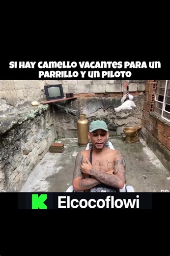 #cocoflowi #streamer #stream #paratii