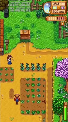 Carrot & Parsnip Harvest in Stardew Valley